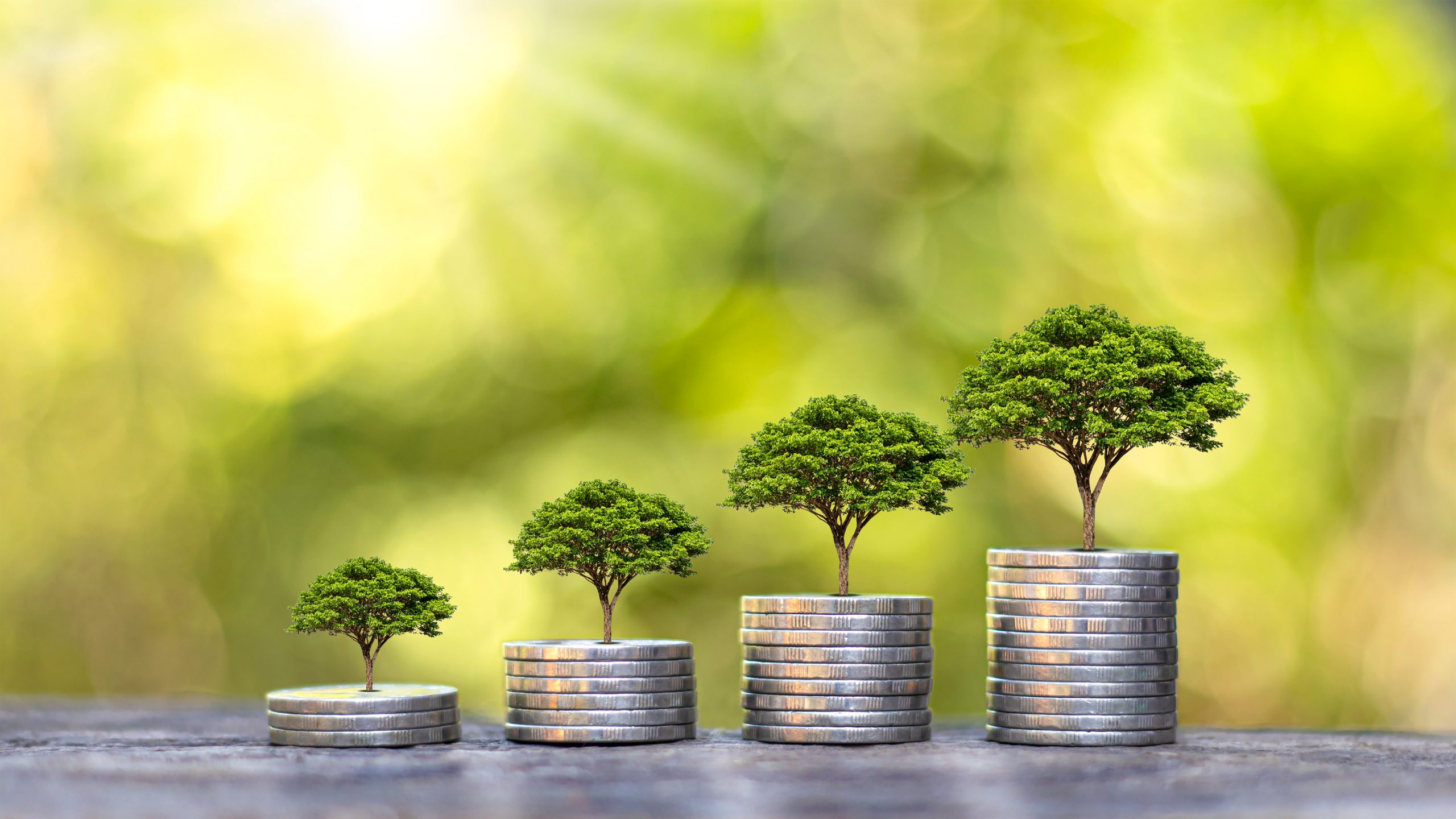The,Tree,Is,Growing,On,A,Pile,Of,Coins,And